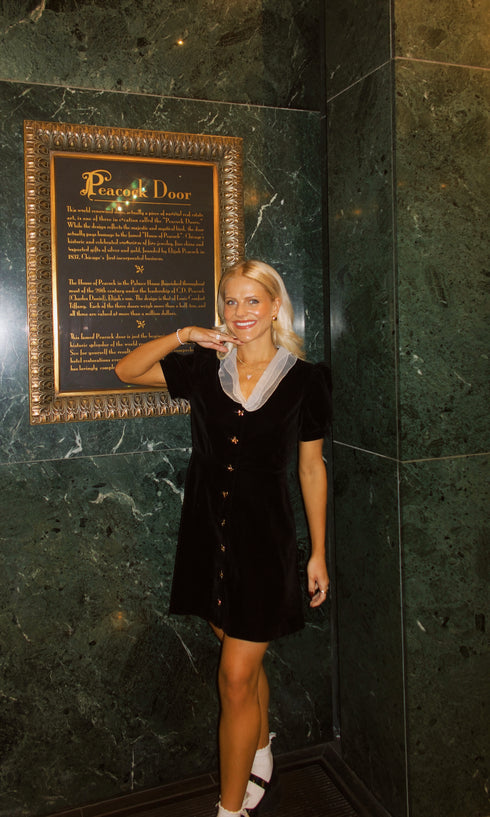 The Waldorf Mini Dress